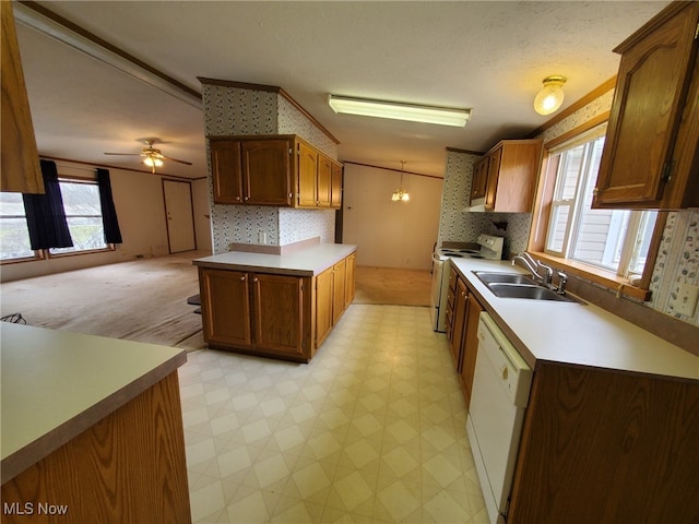 kitchen with crown molding, sink, white appliances, and decorative backsplash