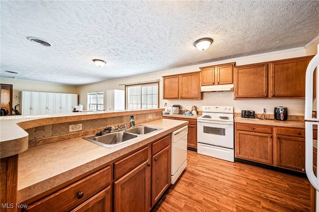 kitchen featuring sink, a textured ceiling, white appliances, and light hardwood / wood-style floors