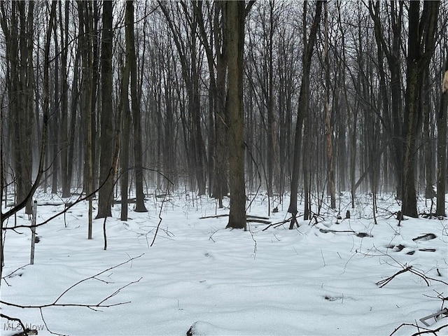 view of snowy landscape