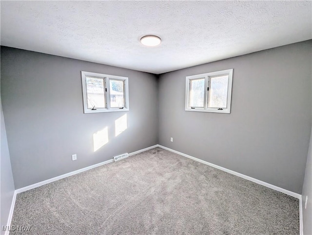 carpeted empty room featuring plenty of natural light and a textured ceiling