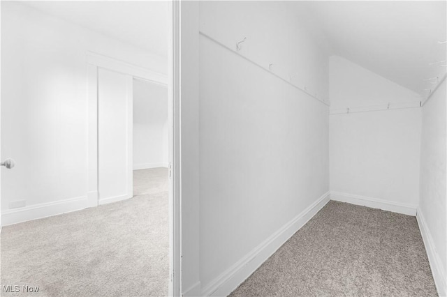 spacious closet featuring lofted ceiling and carpet