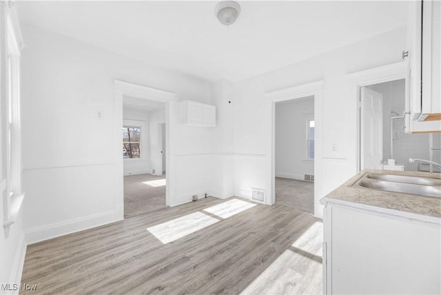 bathroom with sink and hardwood / wood-style floors