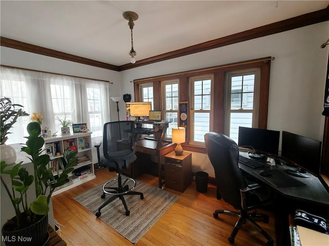 office with crown molding and light hardwood / wood-style floors