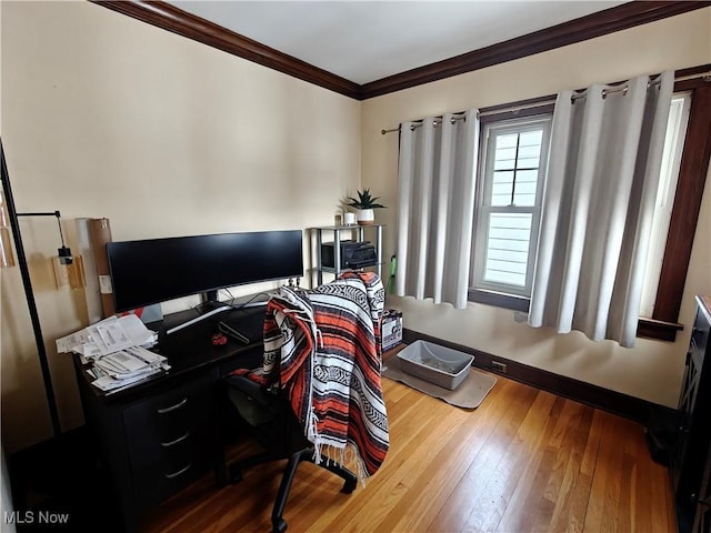 office space with crown molding and hardwood / wood-style floors