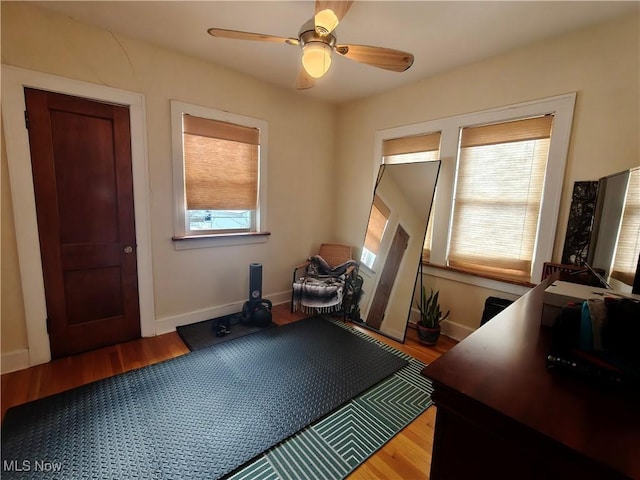 workout area with wood-type flooring and ceiling fan