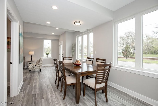 dining area with wood-type flooring