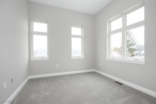 carpeted spare room with a wealth of natural light