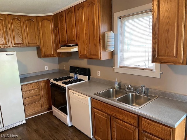 kitchen with sink, white appliances, and dark hardwood / wood-style floors