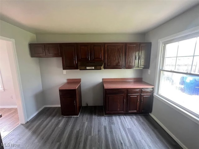 kitchen featuring dark wood-type flooring and dark brown cabinetry