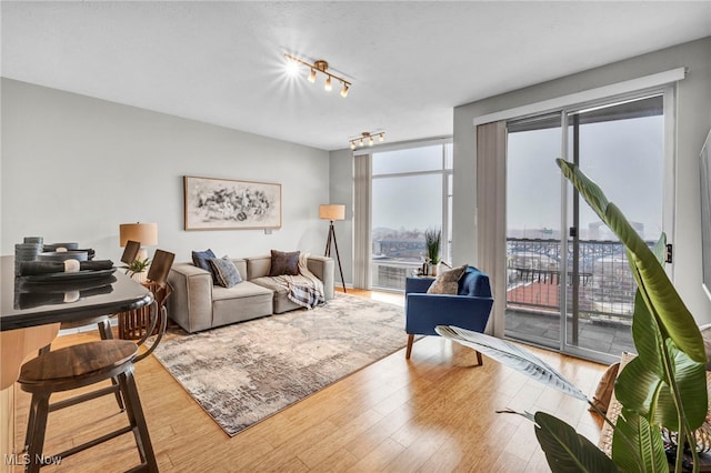 living room with hardwood / wood-style flooring and rail lighting