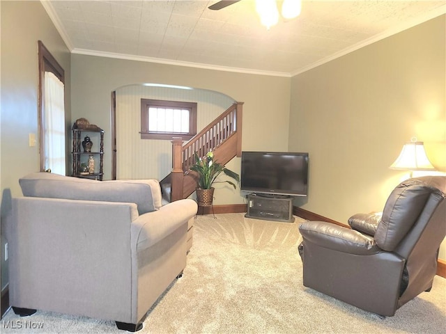 carpeted living room with ornamental molding and ceiling fan