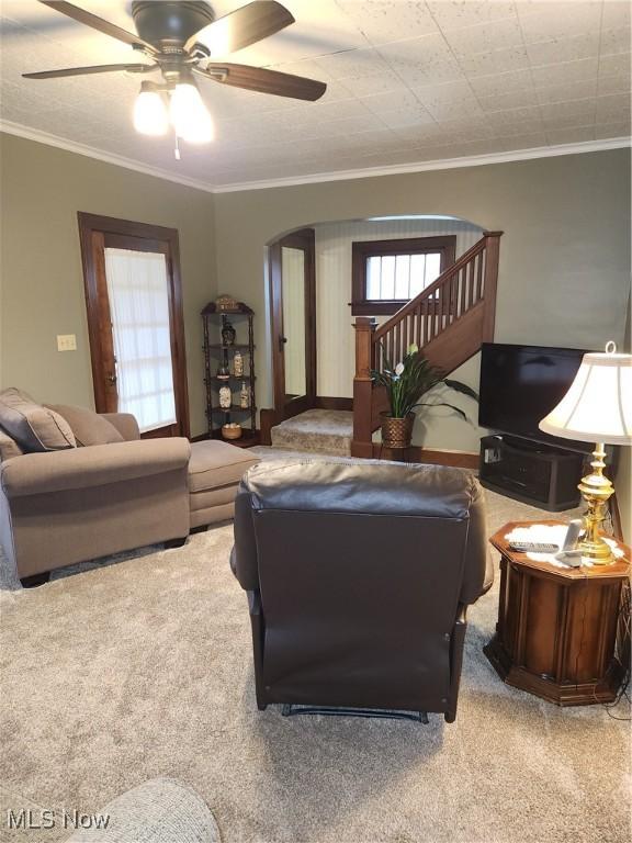 living room with ornamental molding, ceiling fan, and carpet flooring