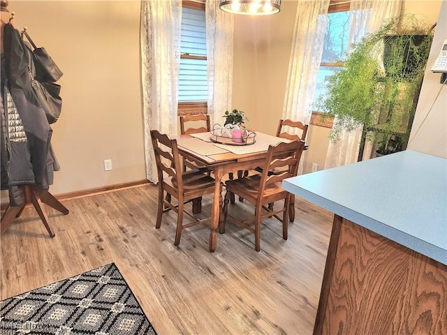 dining room with light hardwood / wood-style flooring