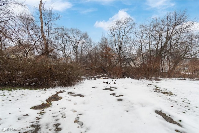 view of yard covered in snow