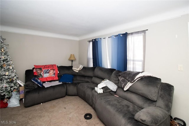 living room featuring carpet flooring