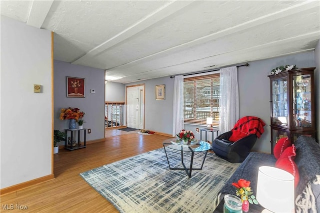 living room featuring hardwood / wood-style floors