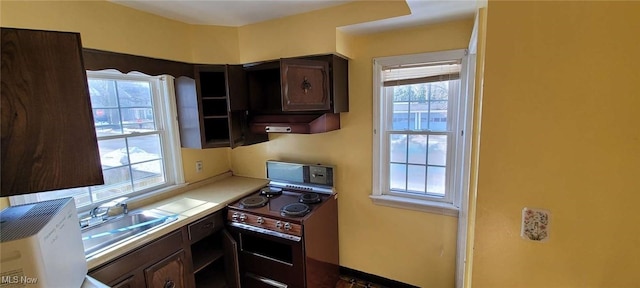 kitchen featuring electric stove, sink, and dark brown cabinets