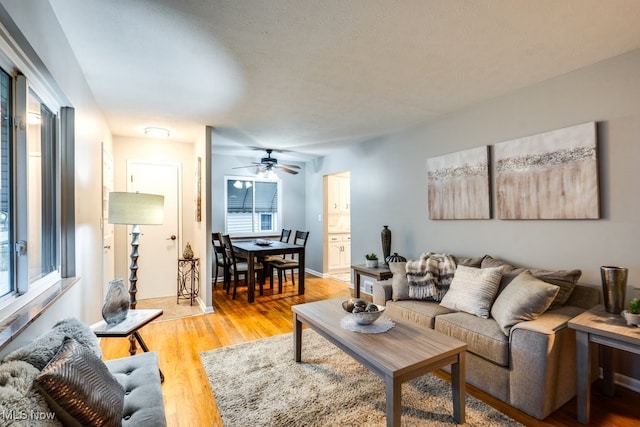 living room featuring light hardwood / wood-style floors