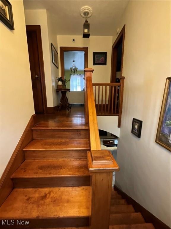 stairway featuring wood-type flooring