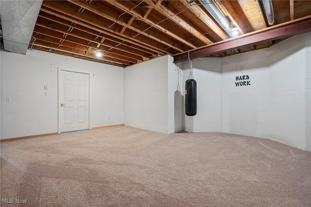 basement with carpet floors