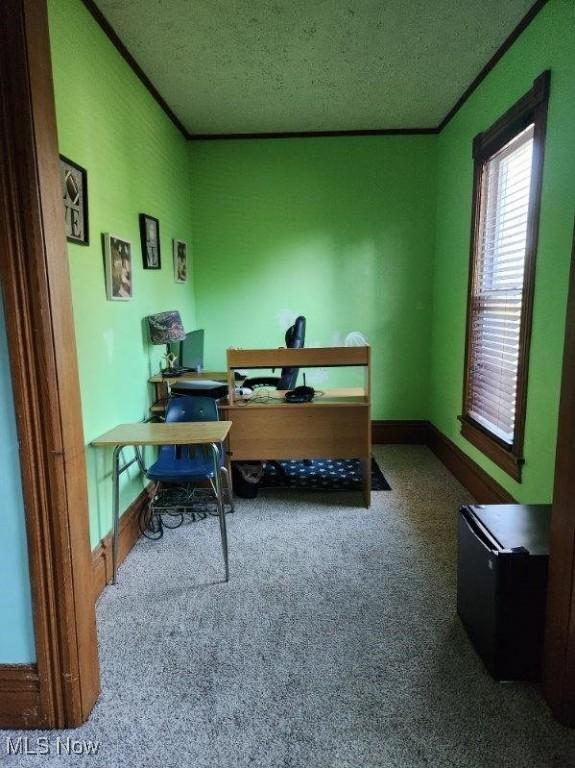 carpeted office space with ornamental molding and a textured ceiling