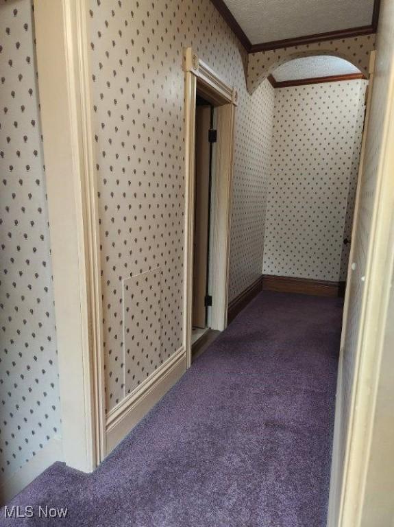 hallway featuring crown molding, carpet flooring, and a textured ceiling