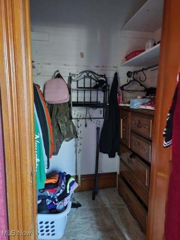 spacious closet with carpet