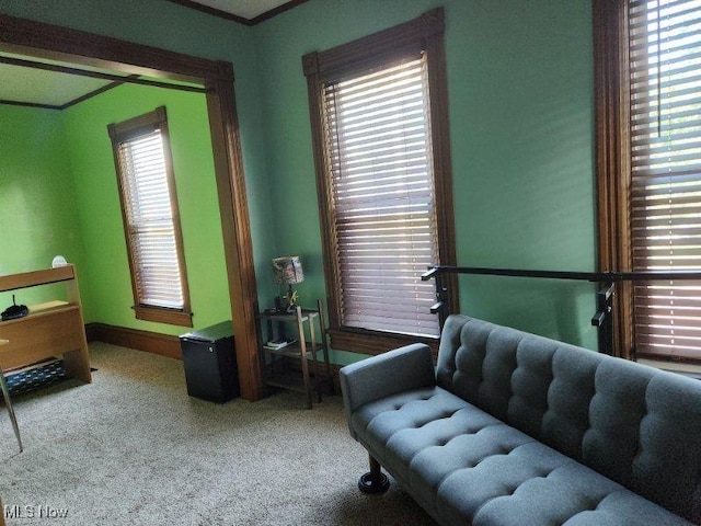 bedroom with crown molding and carpet floors