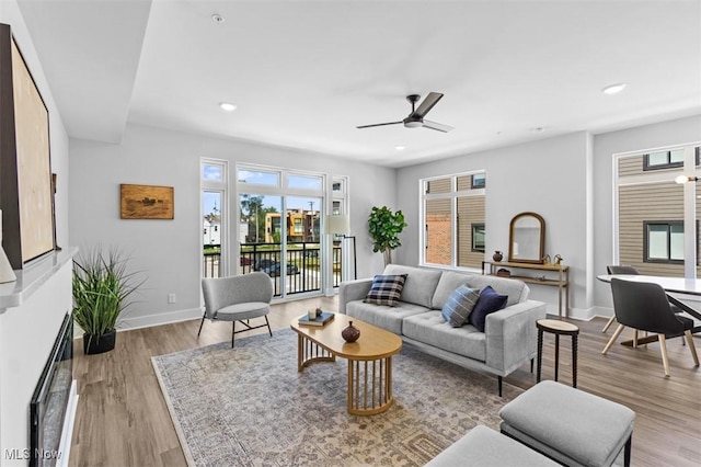 living room with ceiling fan and light hardwood / wood-style flooring