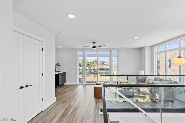 hall featuring hardwood / wood-style floors and a wealth of natural light