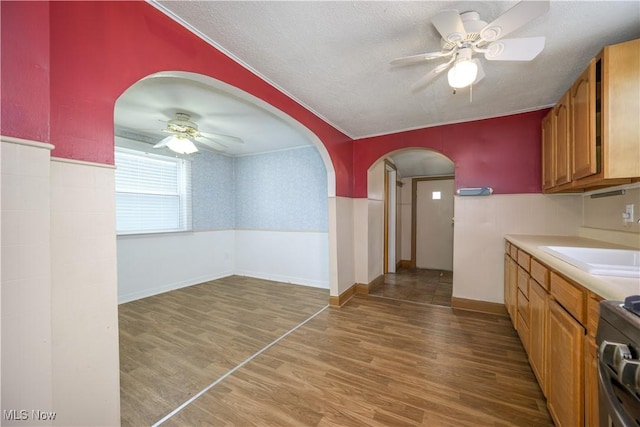 kitchen with sink, light hardwood / wood-style flooring, ceiling fan, range, and a textured ceiling