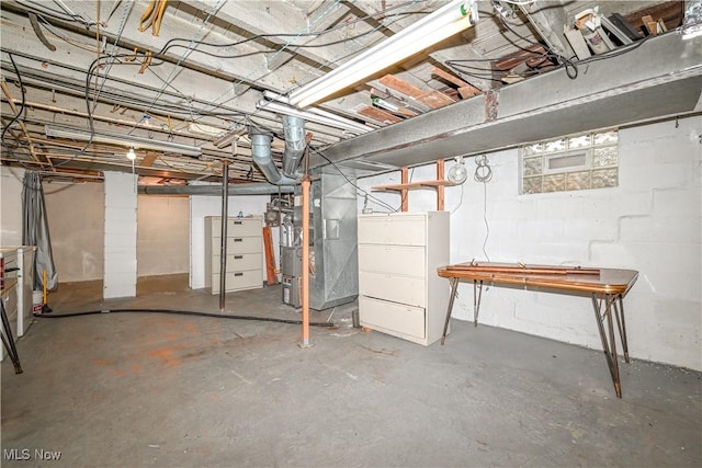 basement with heating unit