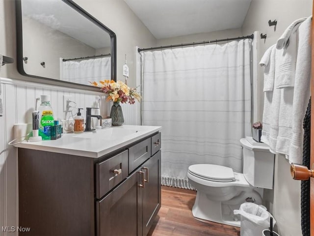 bathroom with vanity, wood-type flooring, toilet, and a shower with shower curtain