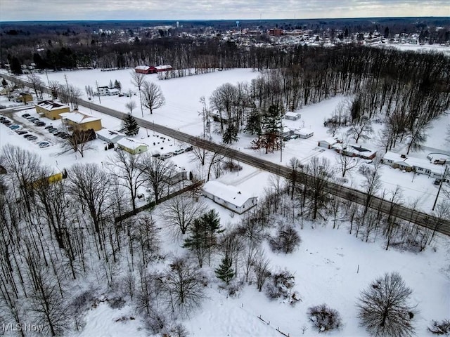 view of snowy aerial view