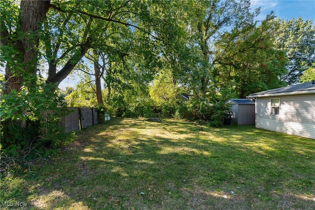 view of yard featuring a shed