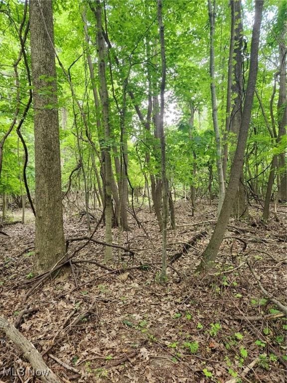 0 Harper Valley Ln, Geneva OH, 44041 land for sale