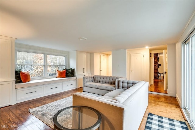 living room featuring light wood-type flooring