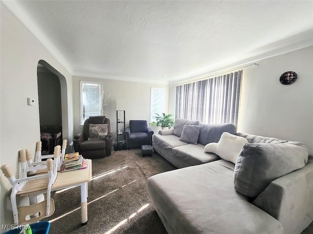 carpeted living room featuring a textured ceiling