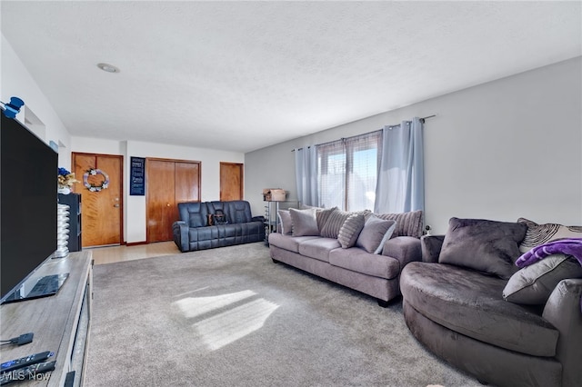 carpeted living room with a textured ceiling