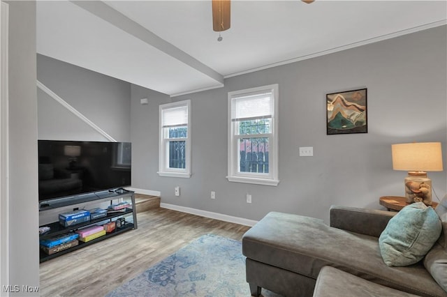 living room featuring wood-type flooring, ornamental molding, and ceiling fan