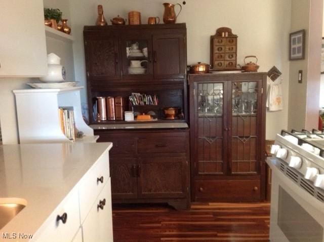 bar featuring white cabinetry, white gas range, dark brown cabinets, and dark wood-type flooring