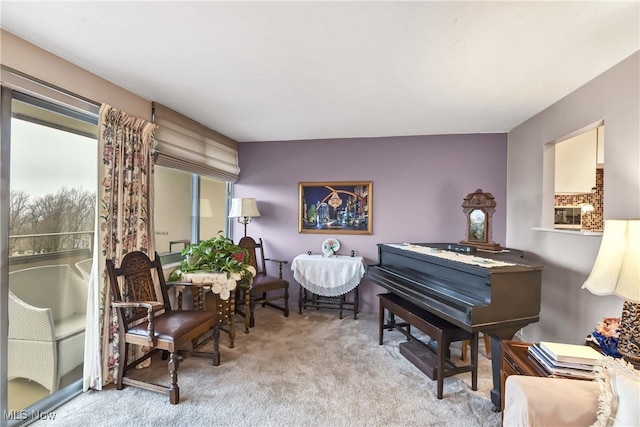 sitting room with light carpet