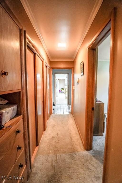 corridor with ornamental molding and light colored carpet