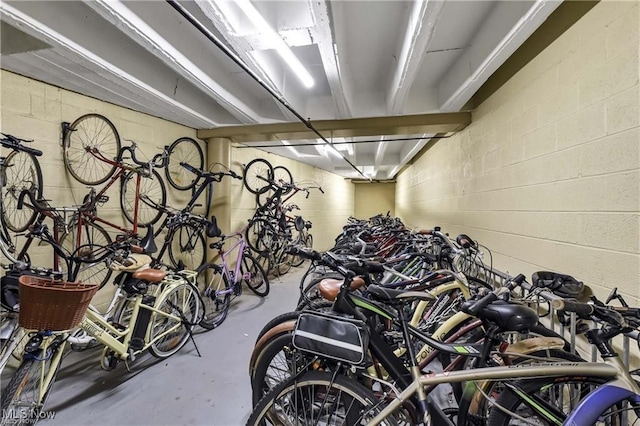 garage with bike storage