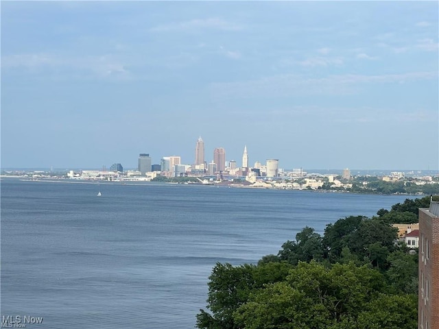 view of water feature featuring a city view