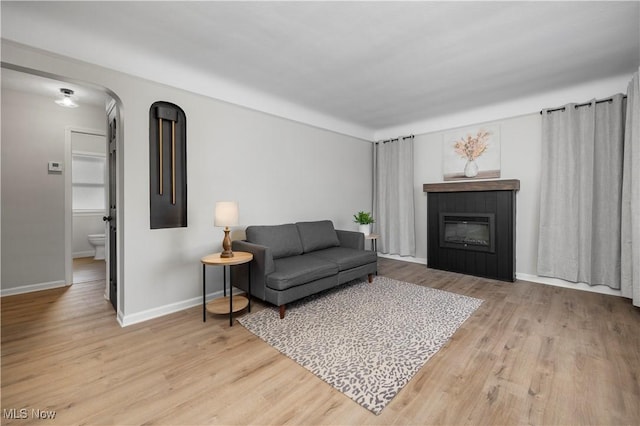 living room featuring light hardwood / wood-style floors