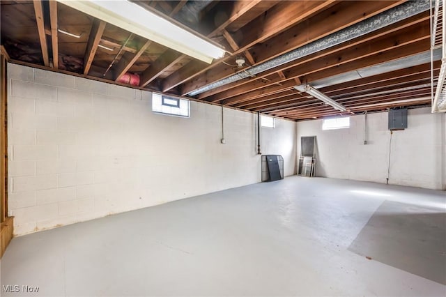 basement with electric panel