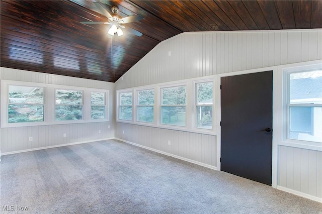 empty room with vaulted ceiling, a healthy amount of sunlight, and carpet flooring