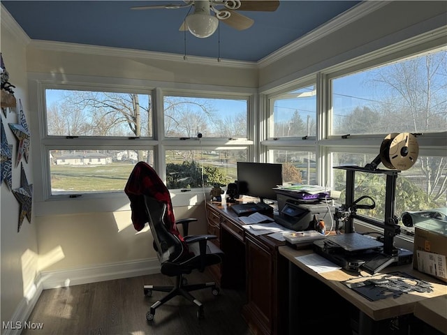 home office featuring ceiling fan, a healthy amount of sunlight, ornamental molding, and dark hardwood / wood-style floors