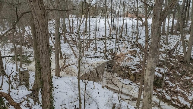 view of snow covered land